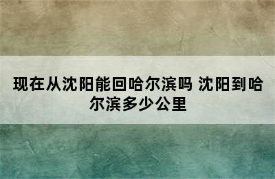 现在从沈阳能回哈尔滨吗 沈阳到哈尔滨多少公里